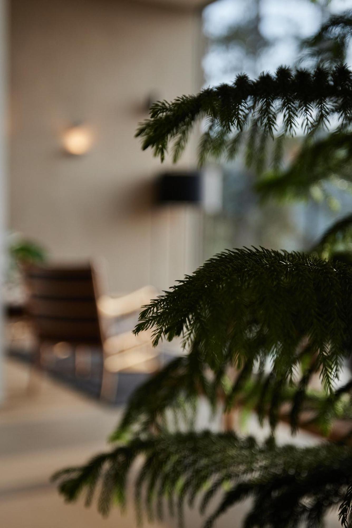 Saltus Hotel Сан Дженезио Атезино Екстериор снимка
